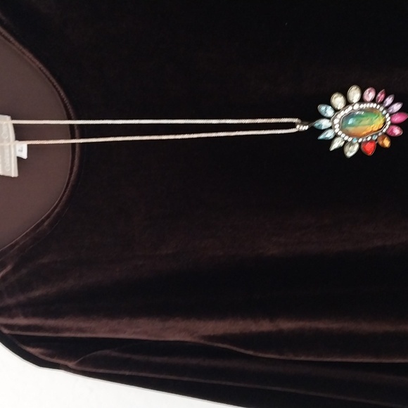 COLDWATER CREEK Brown Velvet Tunic Crew Neck Long Sleeve Top Size Large - Picture 6 of 16